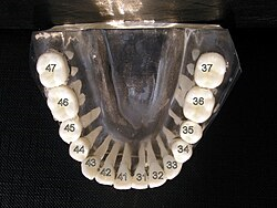 image02.png